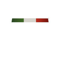 FEI logo trasparente bianco