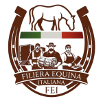 FEI logo trasparente